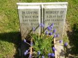 image of grave number 96725